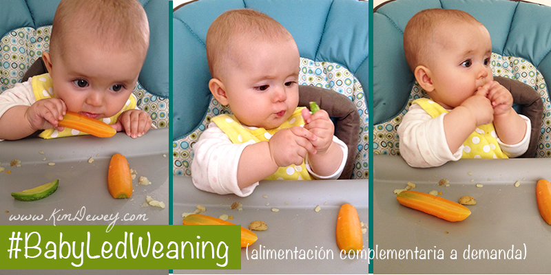 Baby led Weaning  Alimentación complementaria para bebés